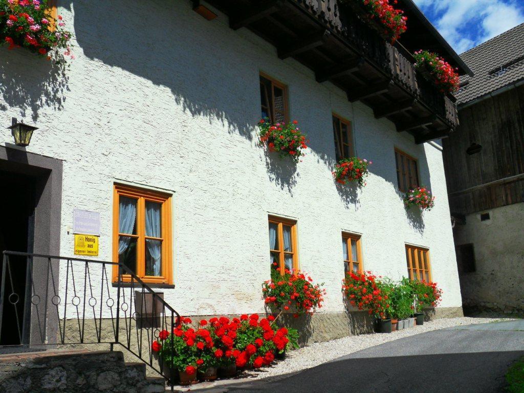 Apartament Haus Waldblick Weissensee Zewnętrze zdjęcie
