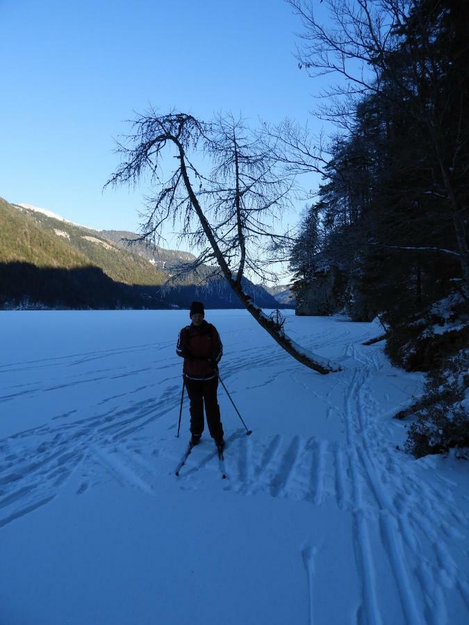 Apartament Haus Waldblick Weissensee Zewnętrze zdjęcie