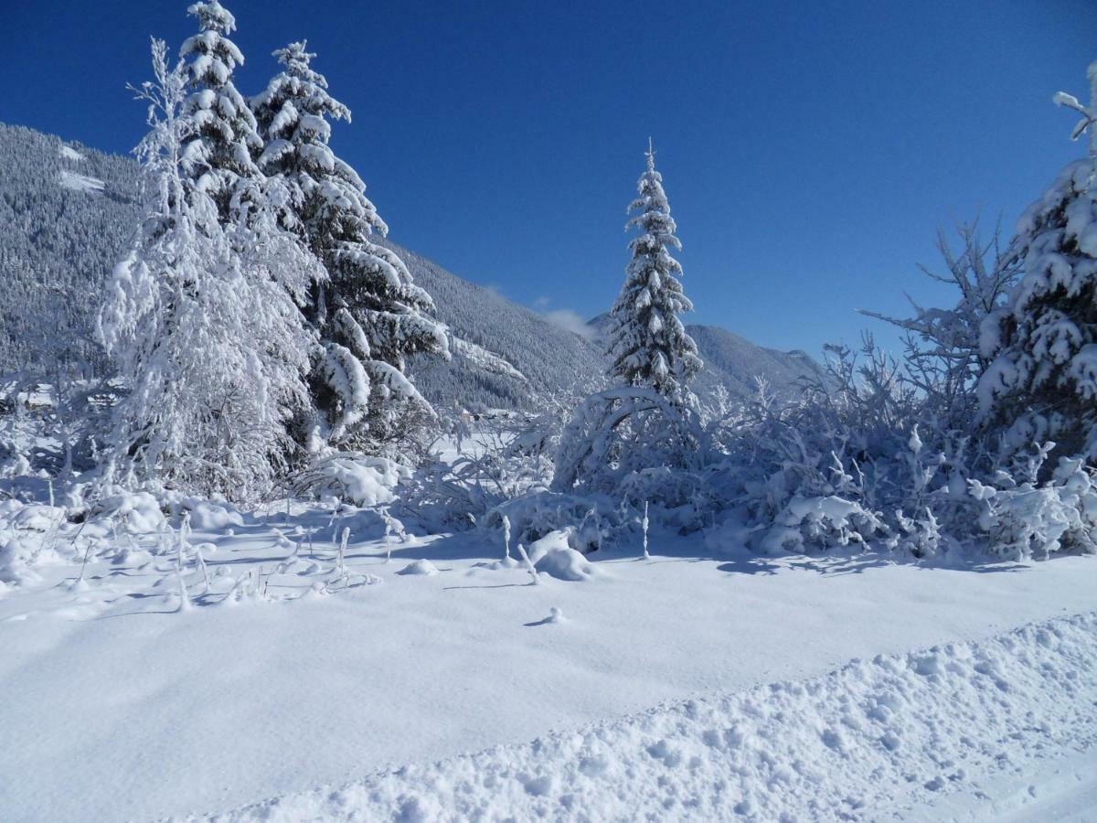 Apartament Haus Waldblick Weissensee Zewnętrze zdjęcie